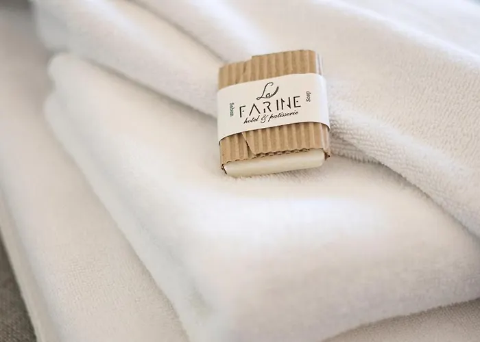 فندق La Farine